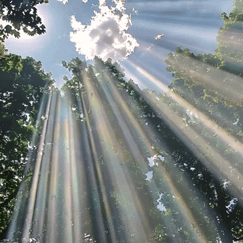 spectre lumineux du soleil - gif