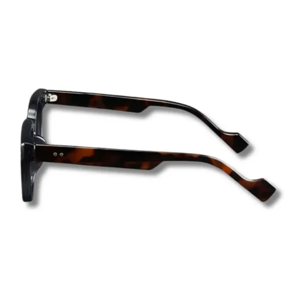 Lunettes SANREMO profile